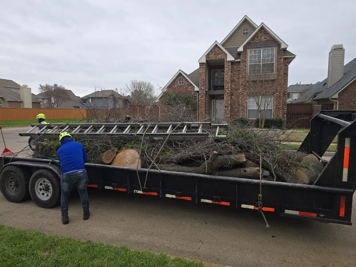 Expert Tree Pest Control with proper safety equipment in Urbana